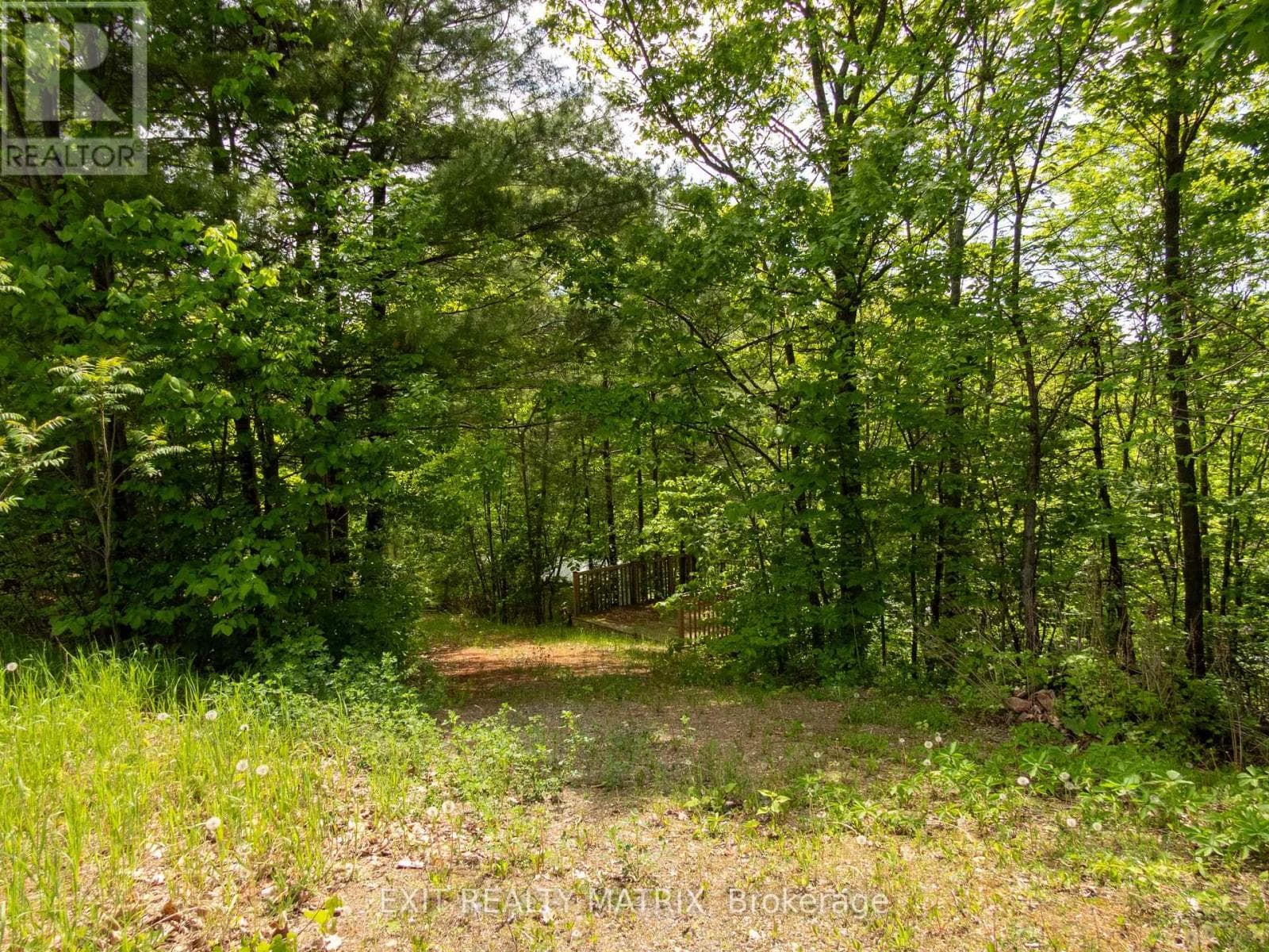 12654 LANARK ROAD photo 4