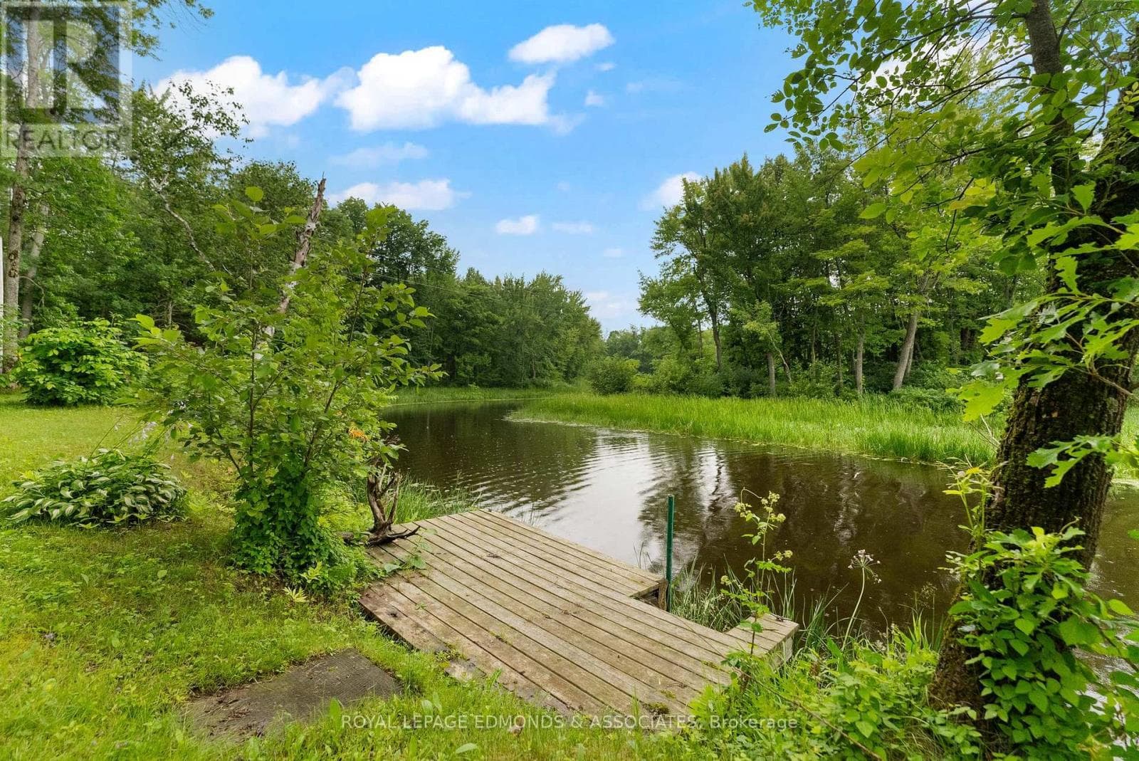 178 PURPLE FINCH TRAIL photo 5
