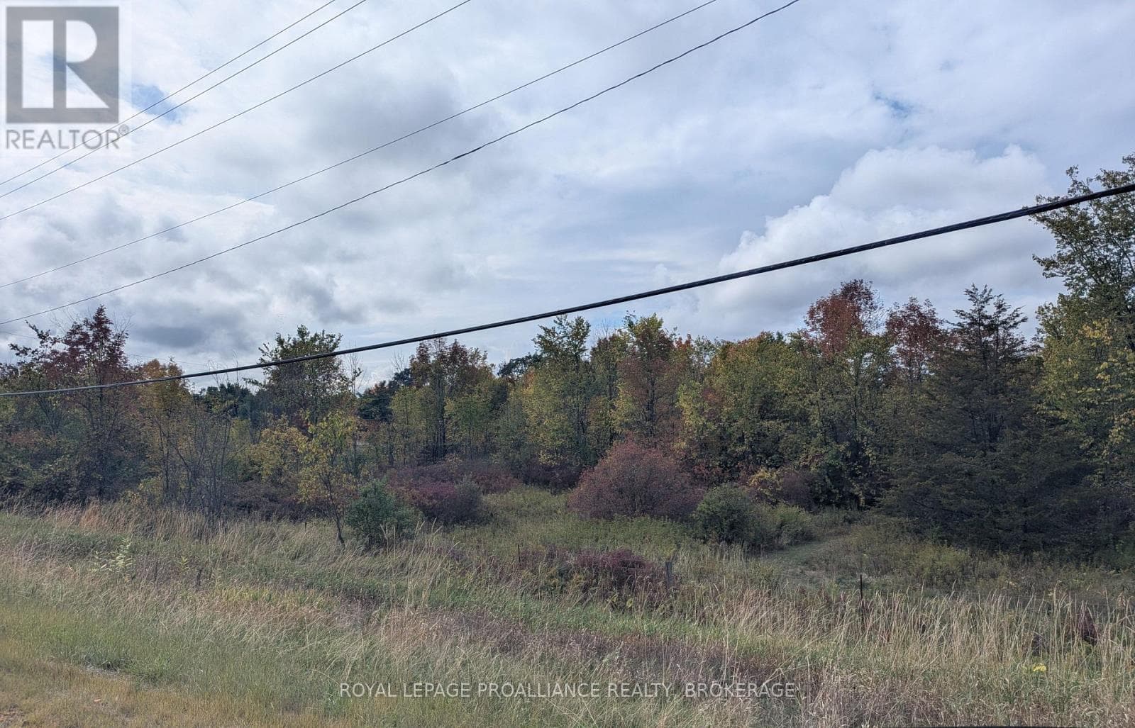 LOT 34 LEO LAKE ROAD photo 3