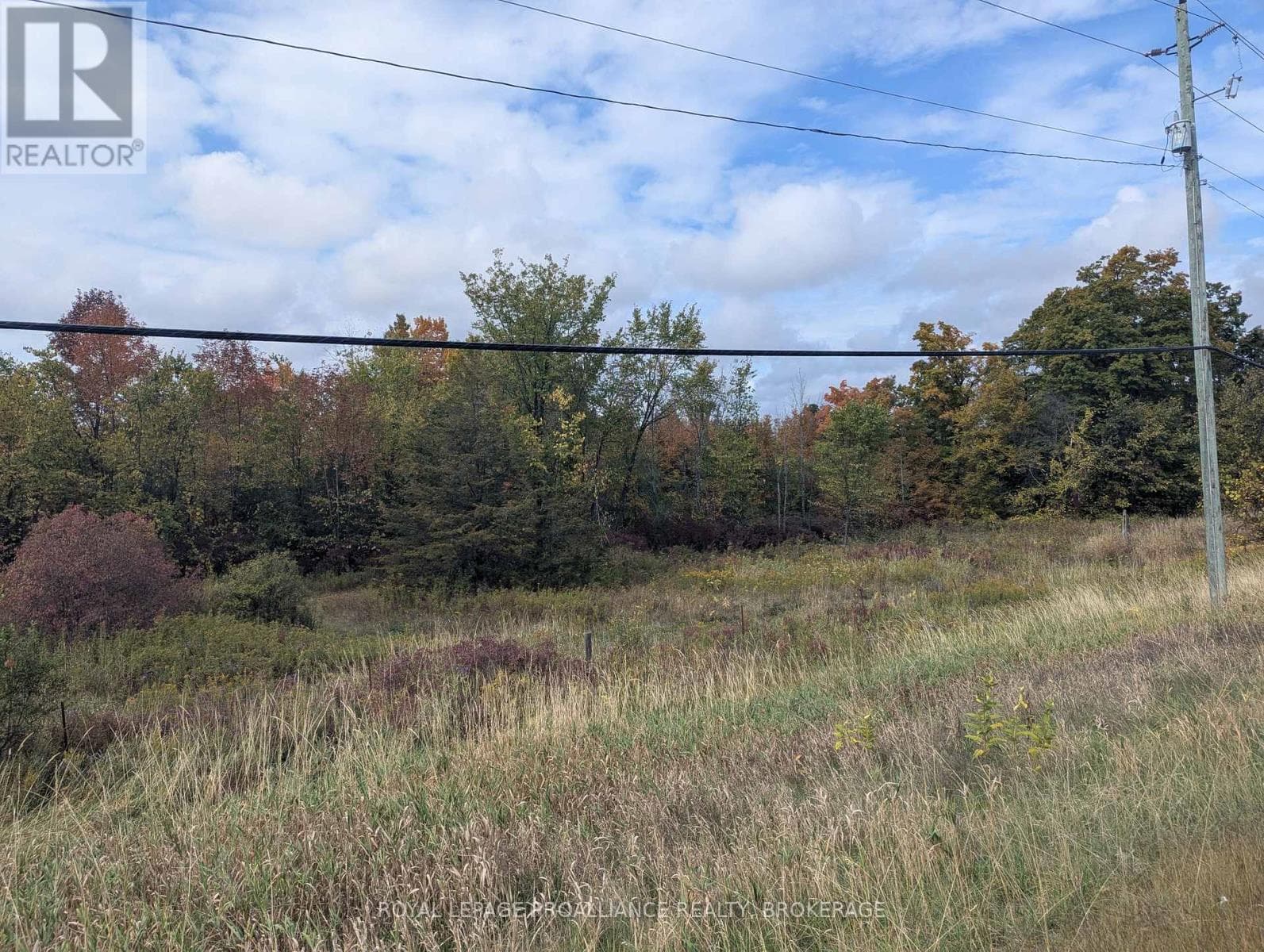 LOT 34 LEO LAKE ROAD photo 4