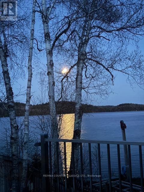 1787 NORTH BAPTISTE LAKE ROAD photo 5