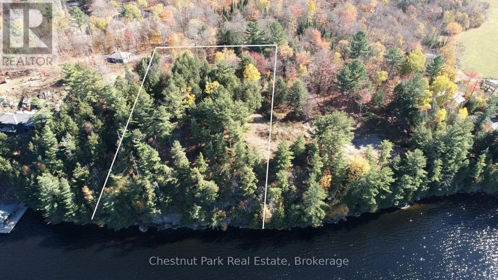 536 SPRINGFIELD ROAD photo 2