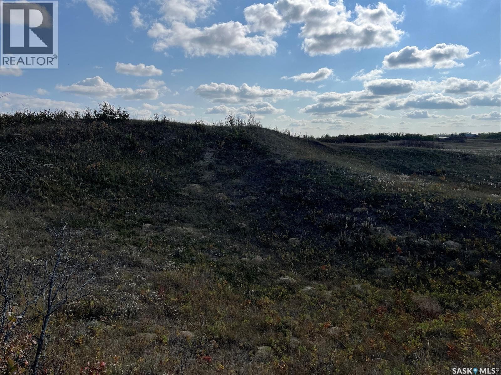 Pike Lake Area 40 Acre Build Site photo 3