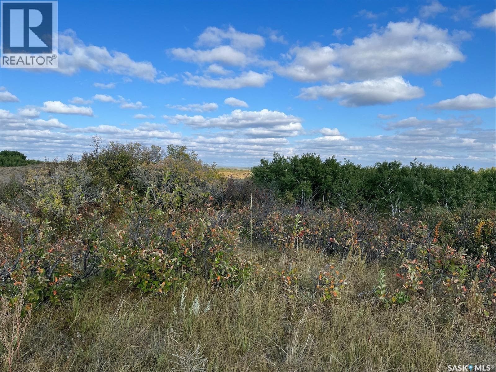 Pike Lake Area 40 Acre Build Site photo 4
