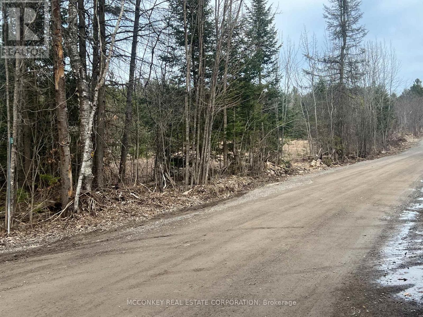 00 CENTRE DUMMER ROAD photo 5