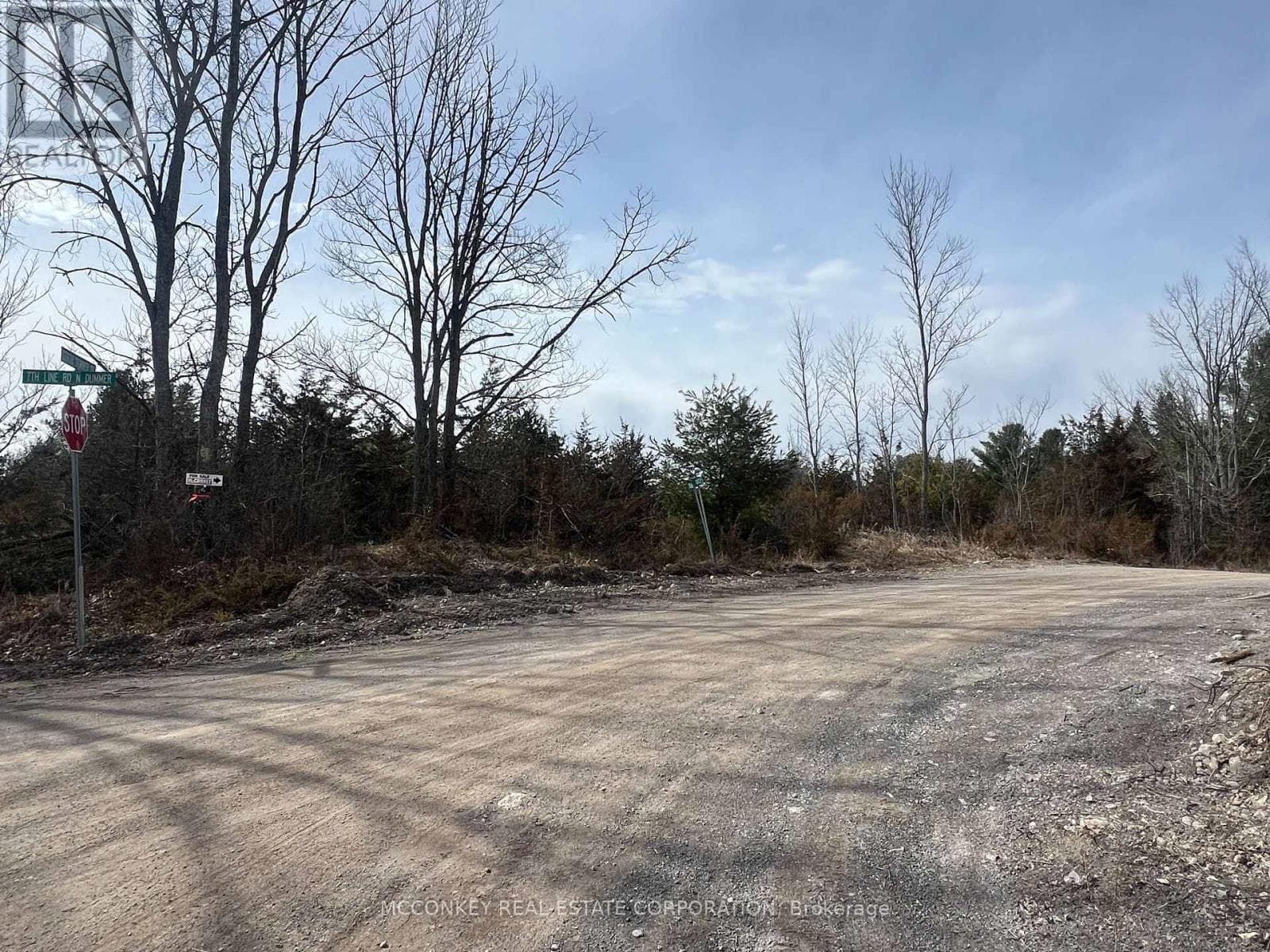 00 N. DUMMER 7TH LINE ROAD photo 4