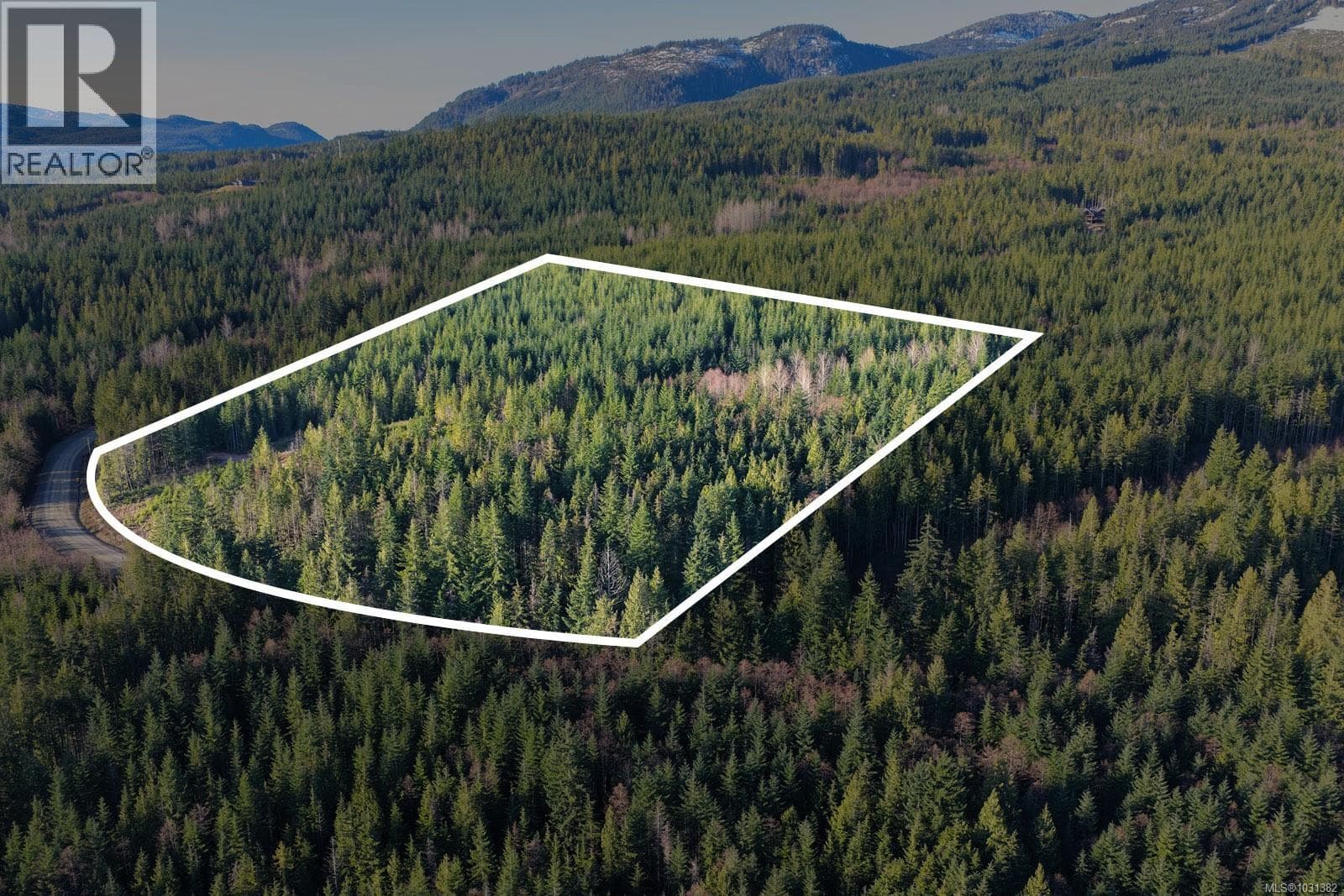 LOT B Forbidden Plateau Rd photo 2