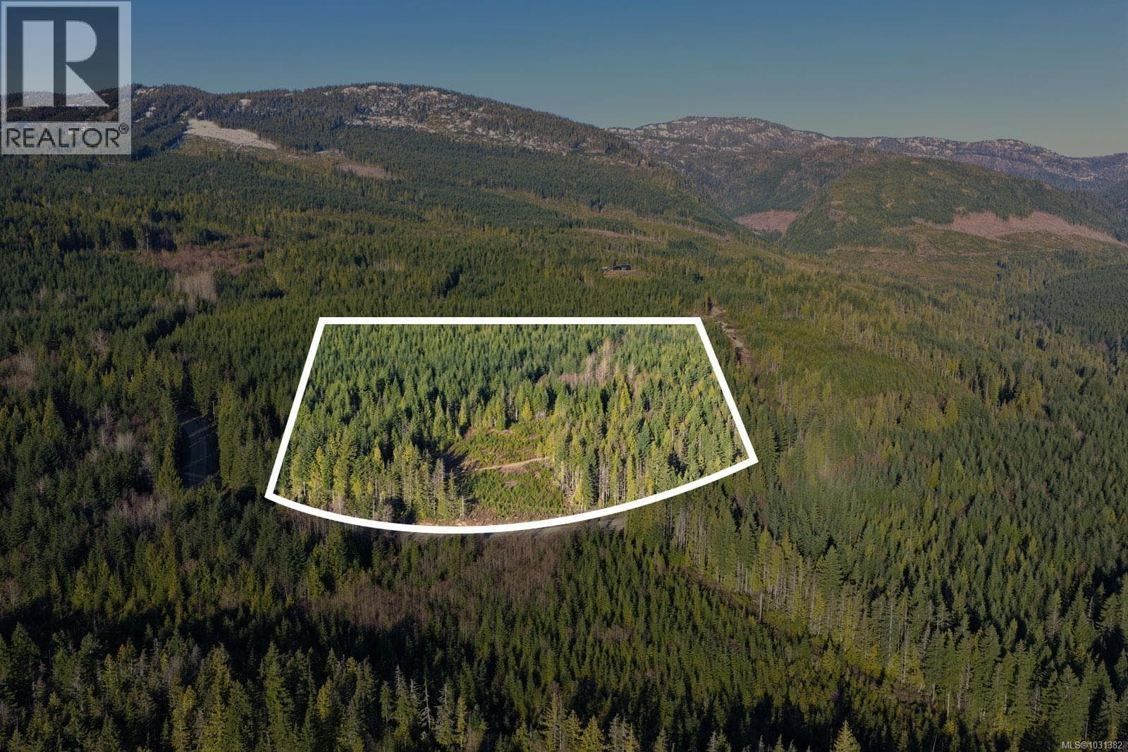 LOT B Forbidden Plateau Rd photo 5