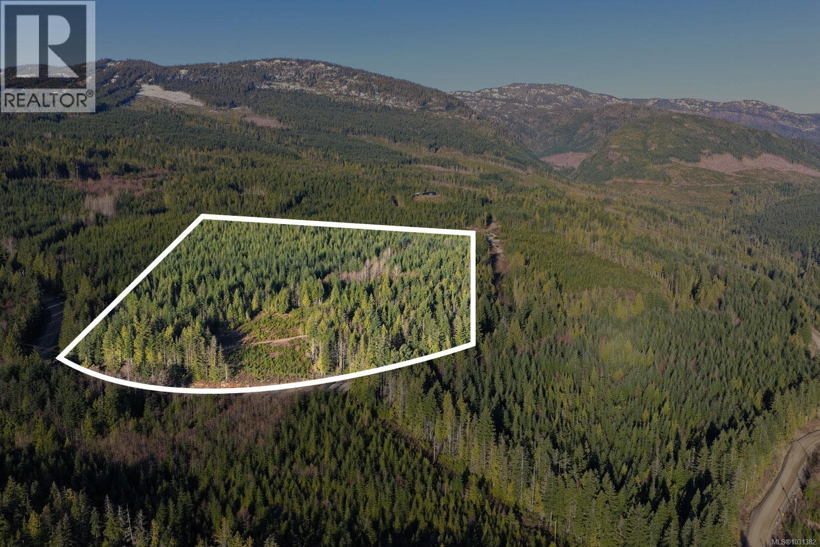 LOT B Forbidden Plateau Rd photo 4