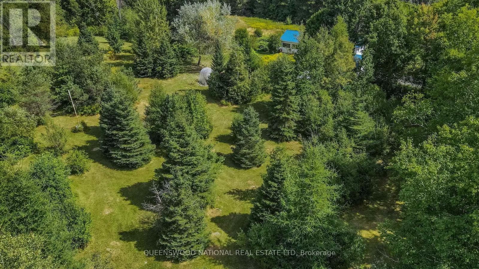 842 CENTREVIEW ROAD photo 5