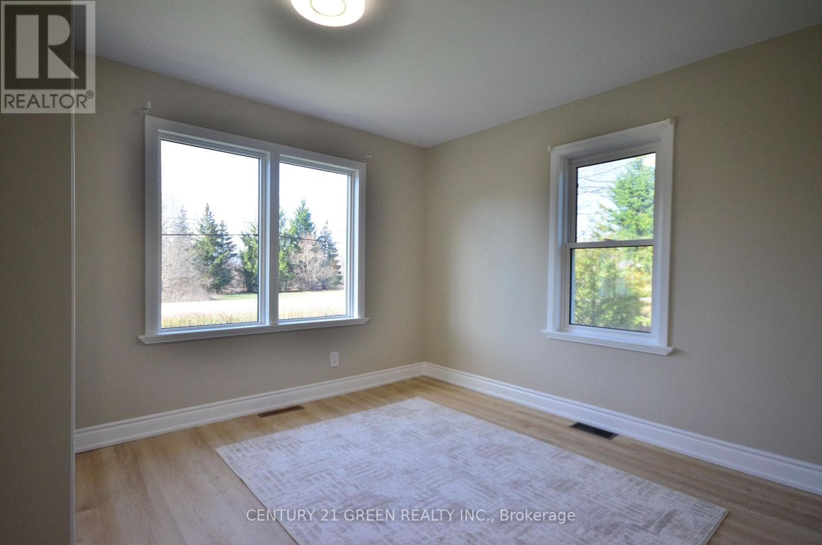 584050 BEACHVILLE ROAD photo 4