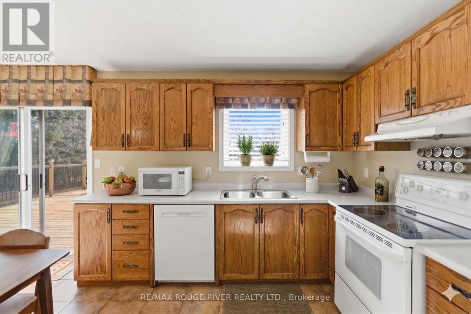 22810 SIMCOE STREET photo 7