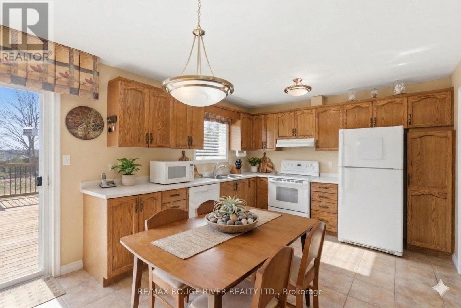 22810 SIMCOE STREET photo 8
