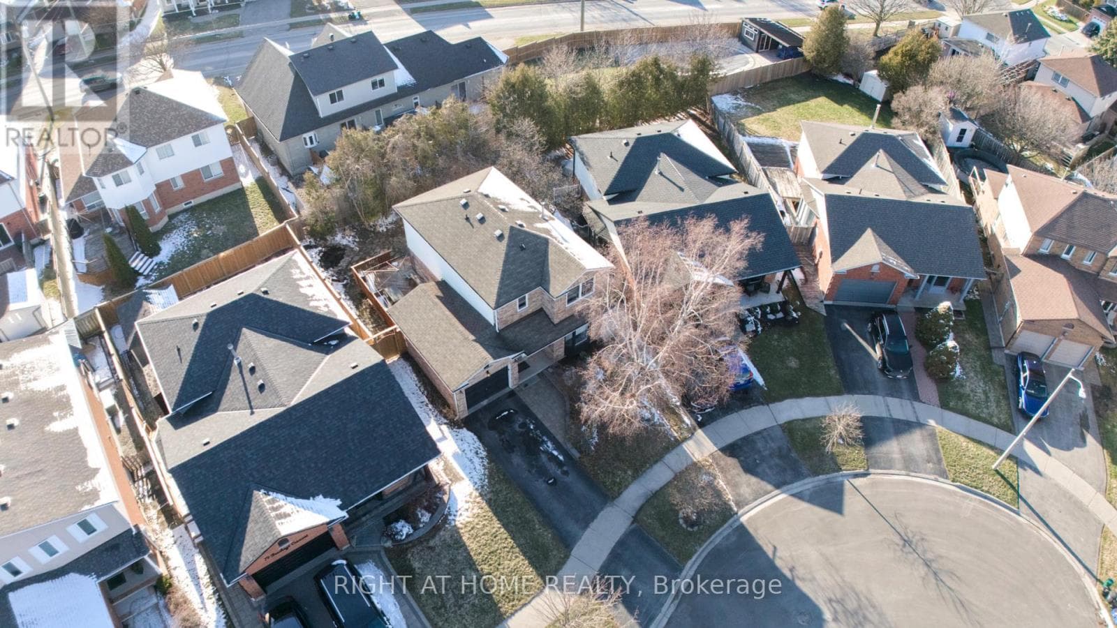 81 BEECHNUT CRESCENT photo 3