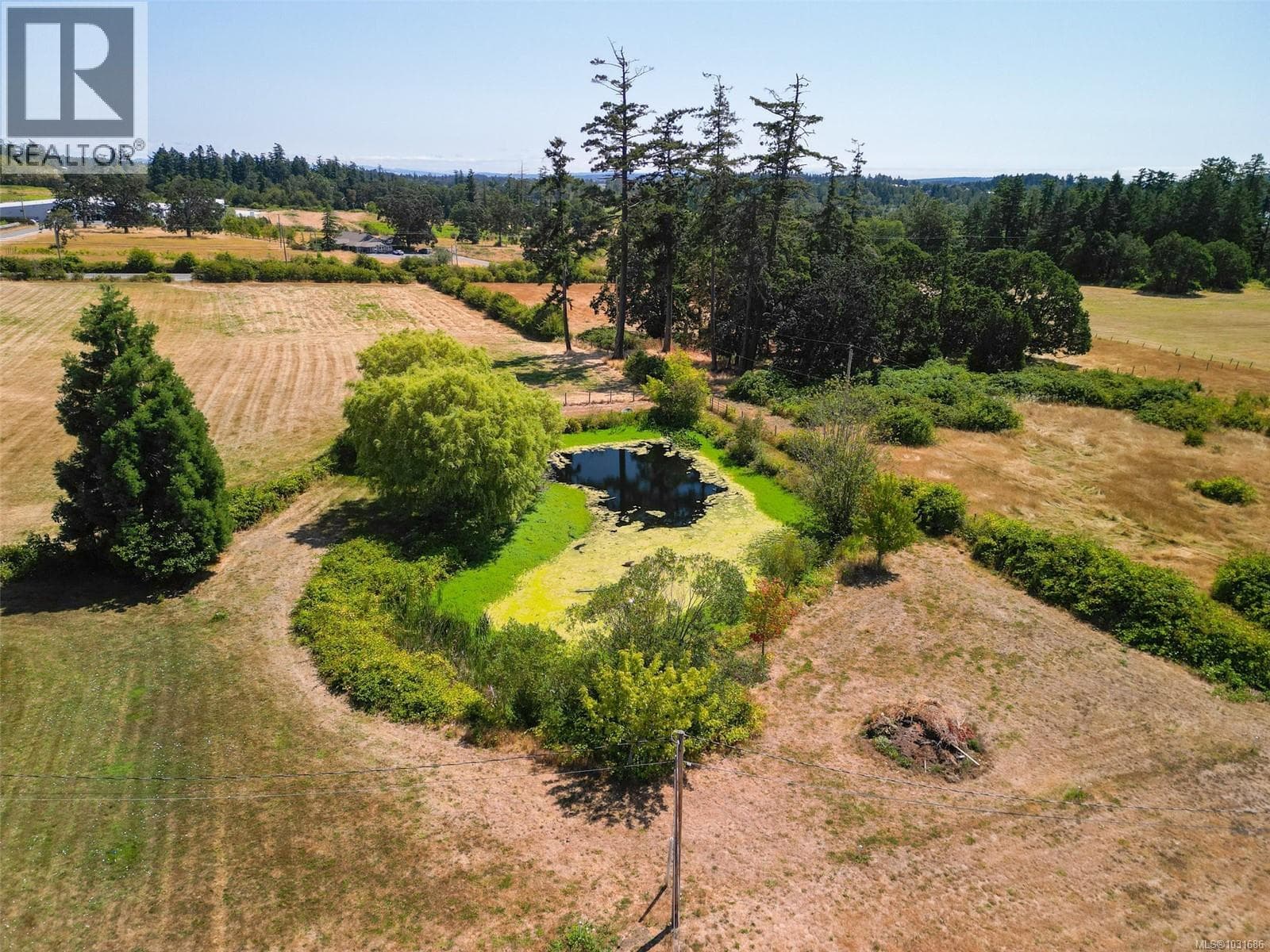 10650 West Saanich Rd photo 4