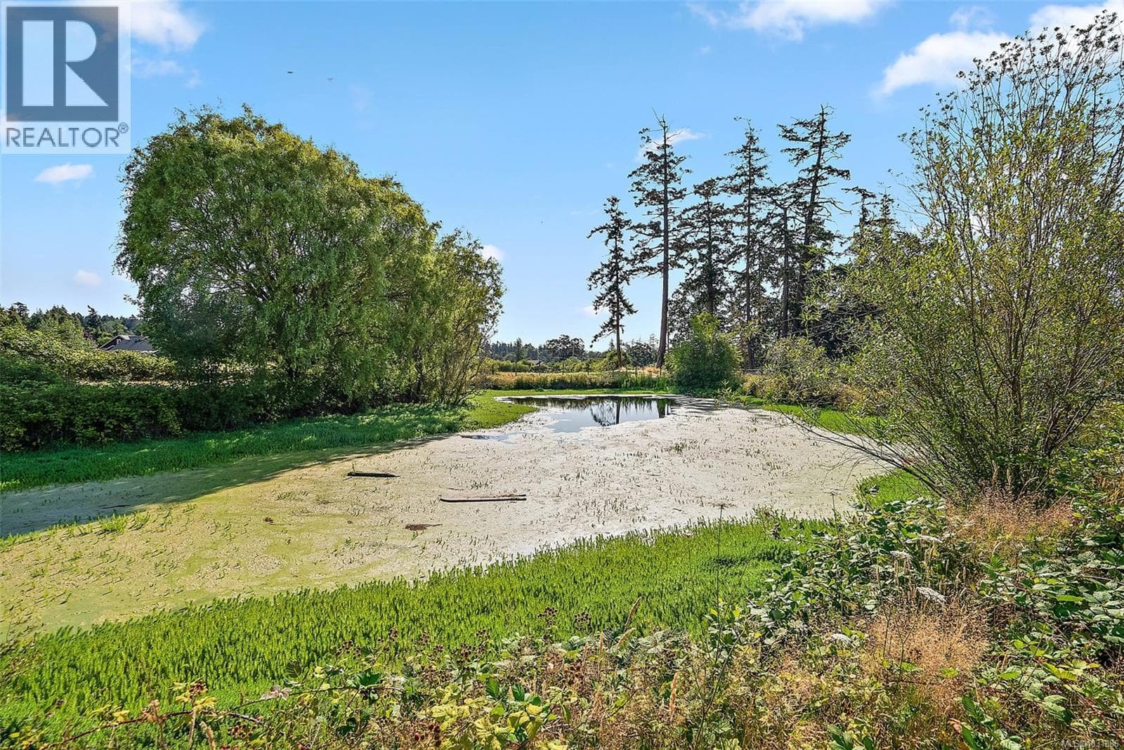 10650 West Saanich Rd photo 5
