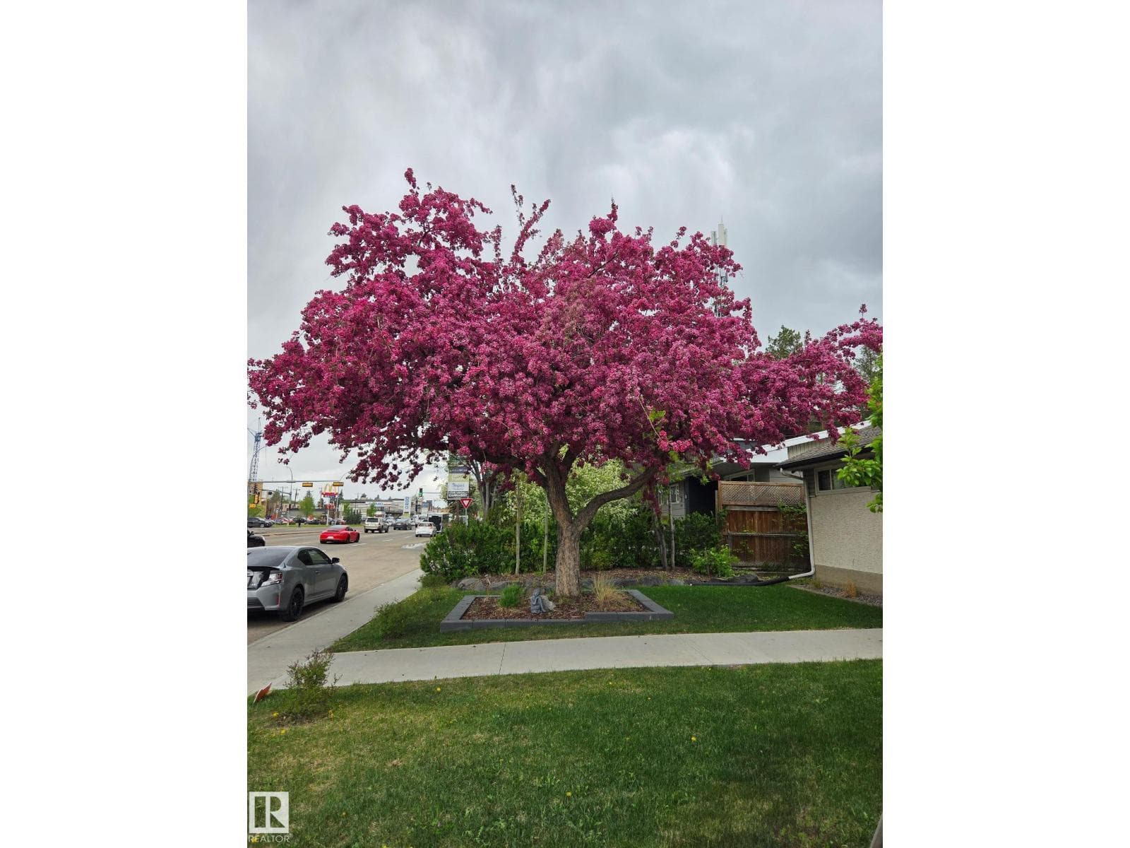 8603 149 ST NW photo 2