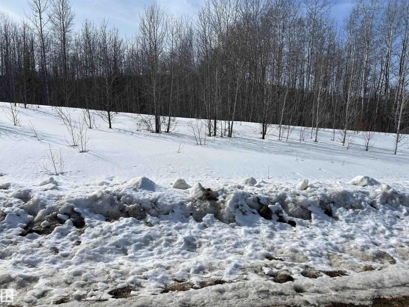 NE 23 62 1 W4 411A RD