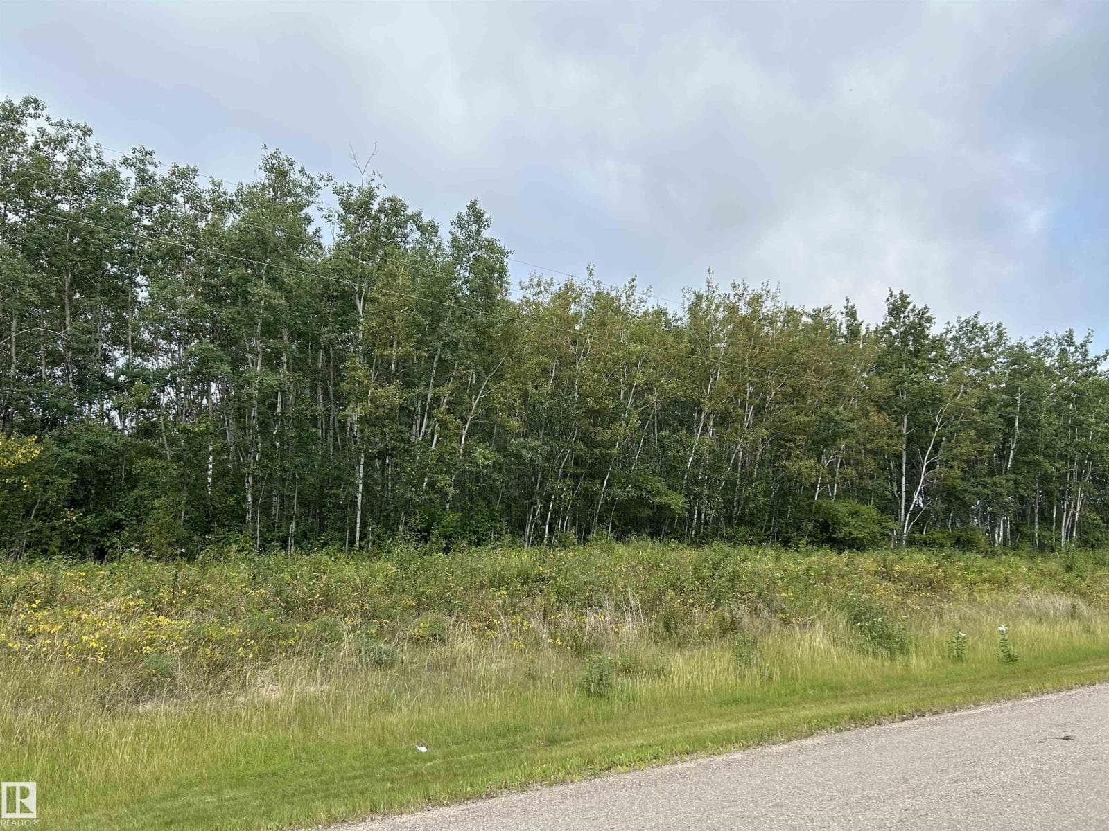 NE 23 62 1 W4 411A RD — photo 3