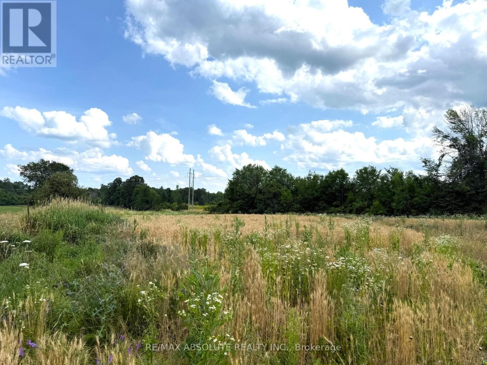 702 PART 18 FLAT RAPIDS ROAD photo 4