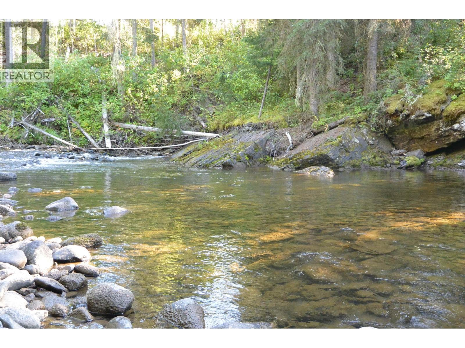 6035 OLD BABINE LAKE ROAD photo 5