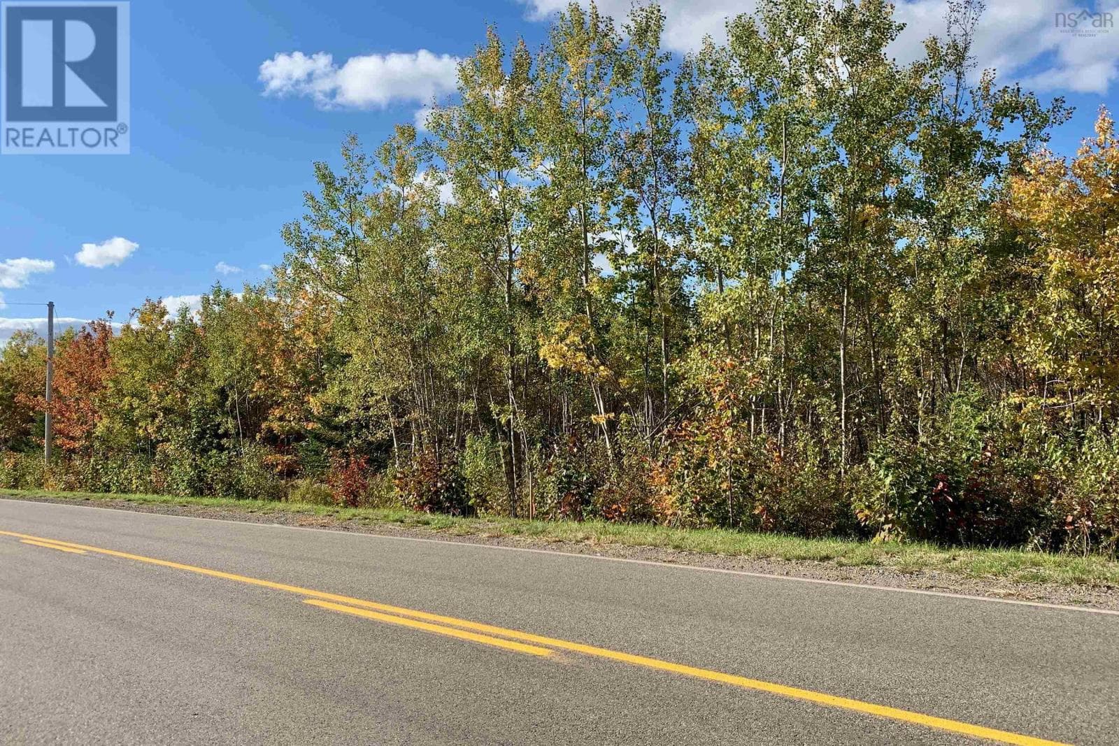 Lot 24-3 Highway 321 photo 4