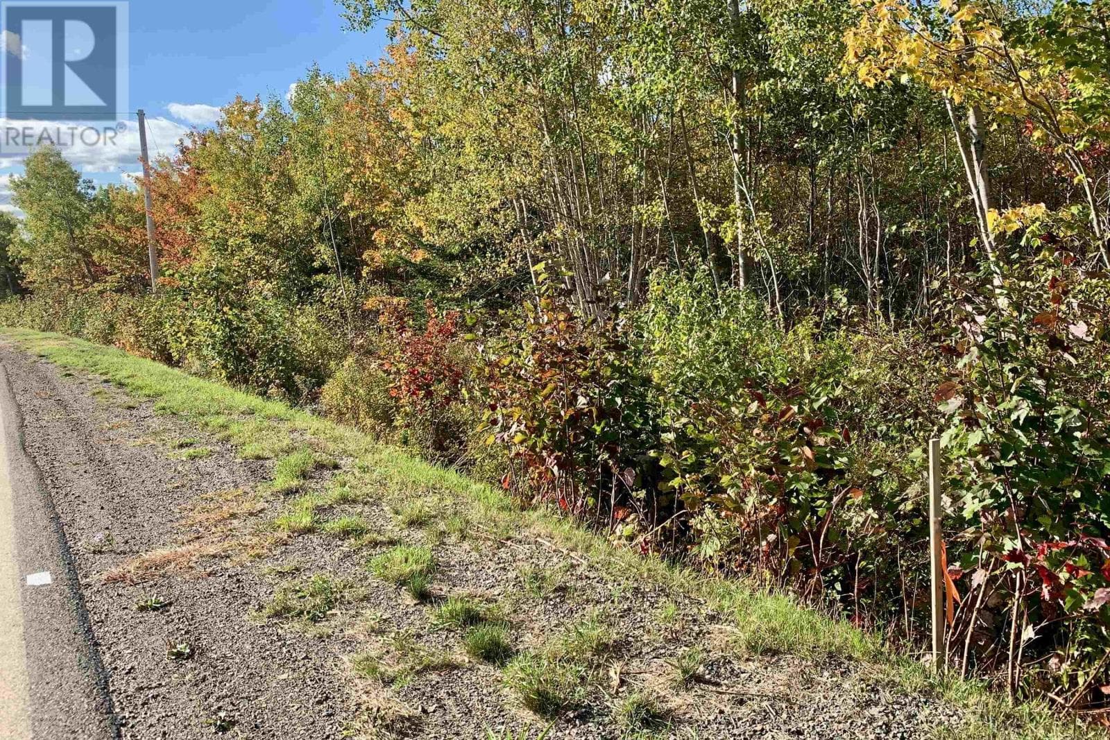 Lot 24-3 Highway 321 photo 5