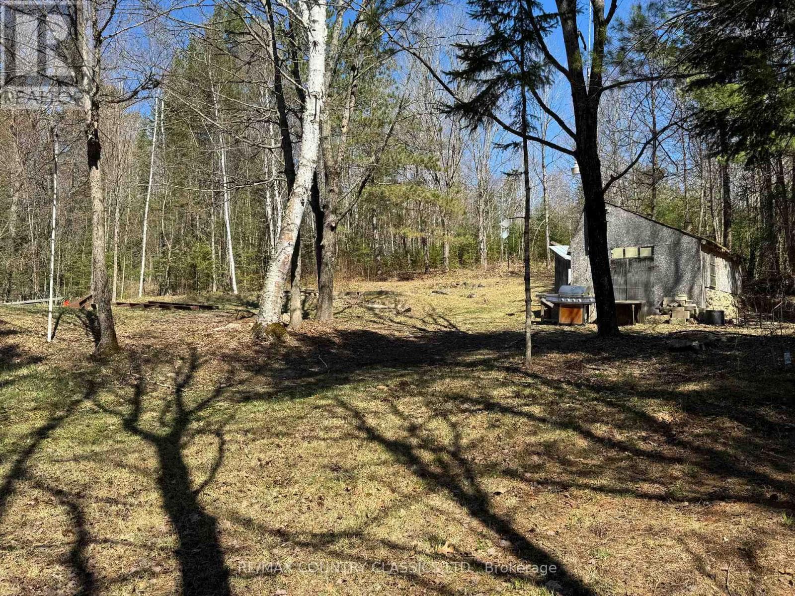 1703 BOULTER ROAD photo 3