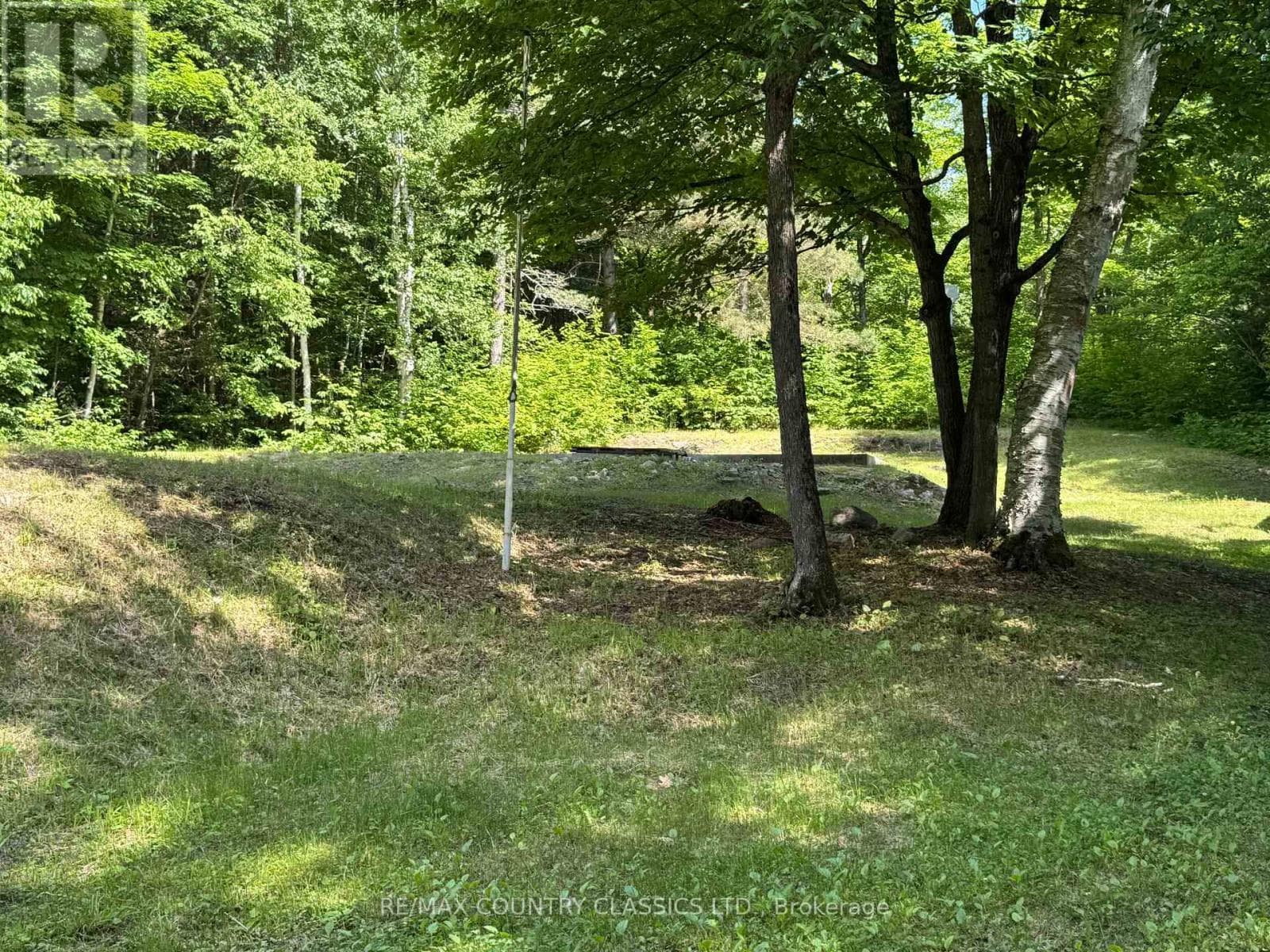 1703 BOULTER ROAD photo 4