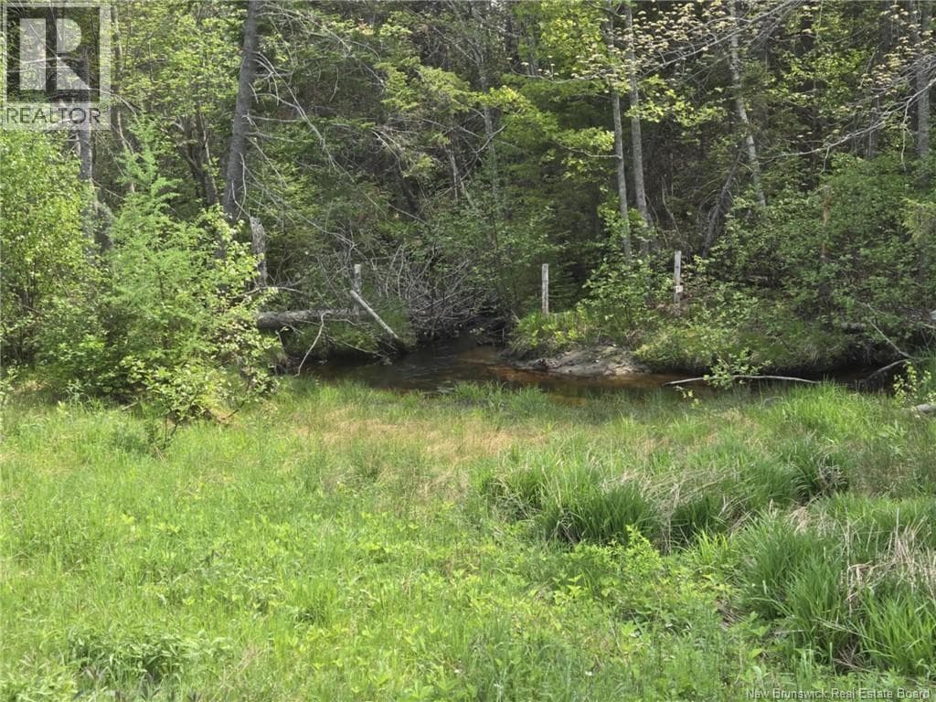Vacant Lot 2023-2 Ch. Riviere-du-Portage ND photo 2