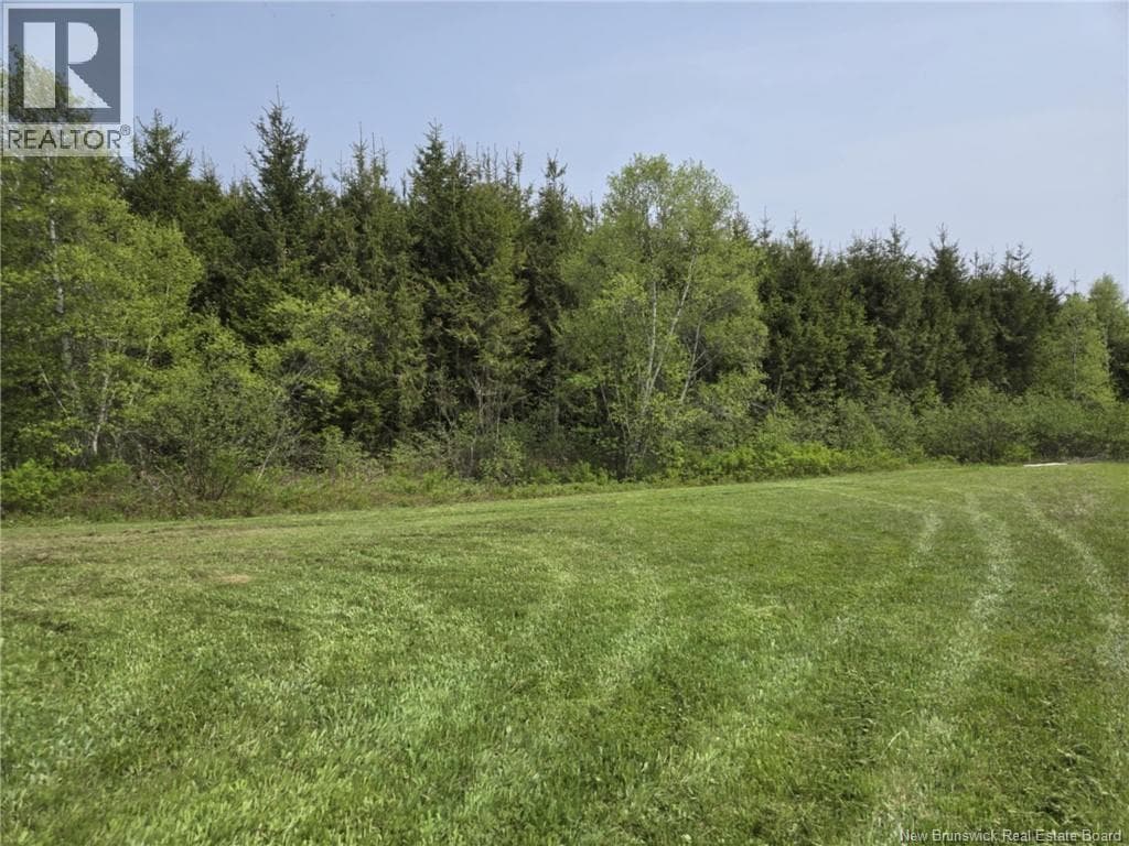 Vacant Lot 2023-2 Ch. Riviere-du-Portage ND photo 4
