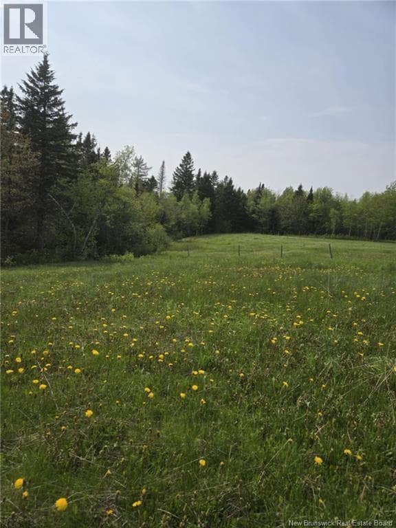 Vacant Lot 2023-2 Ch. Riviere-du-Portage ND photo 5