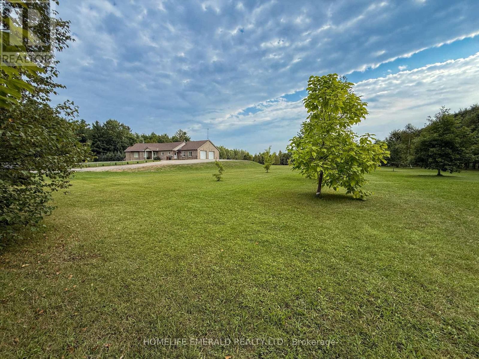 3175 3/4 CONCESSION photo 4