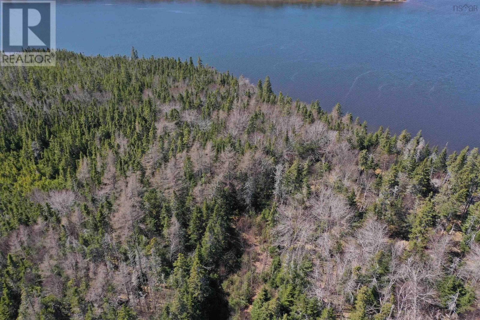 57 Orion Crescent photo 3