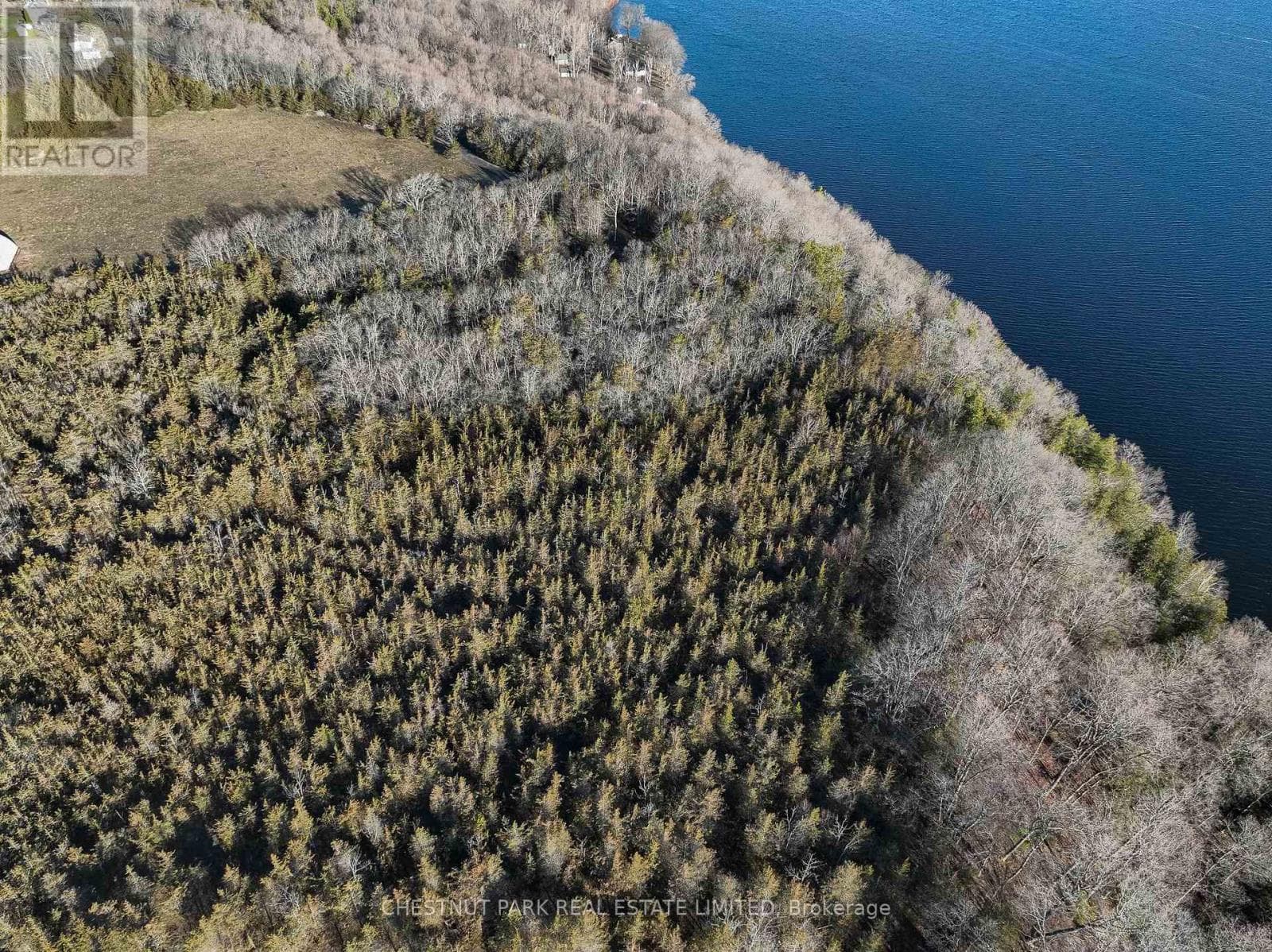 695 COUNTY ROAD 7 photo 4