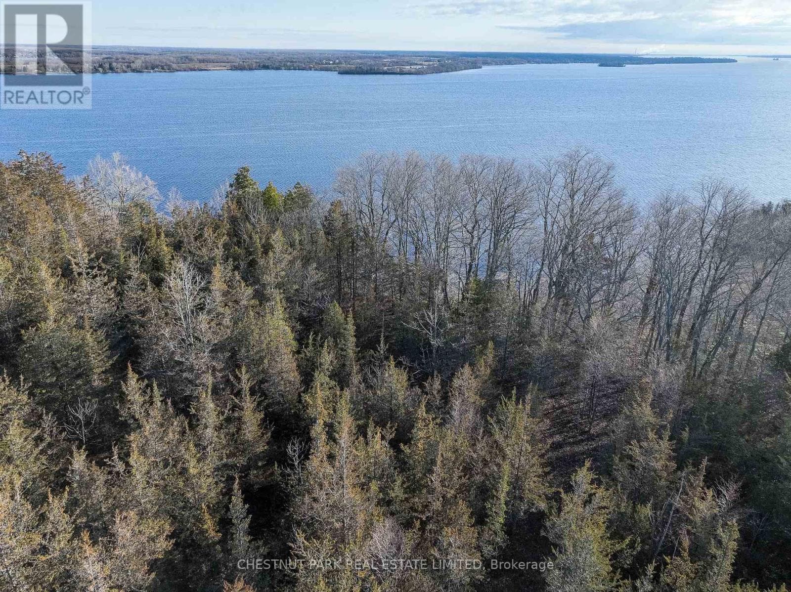 695 COUNTY ROAD 7 photo 5