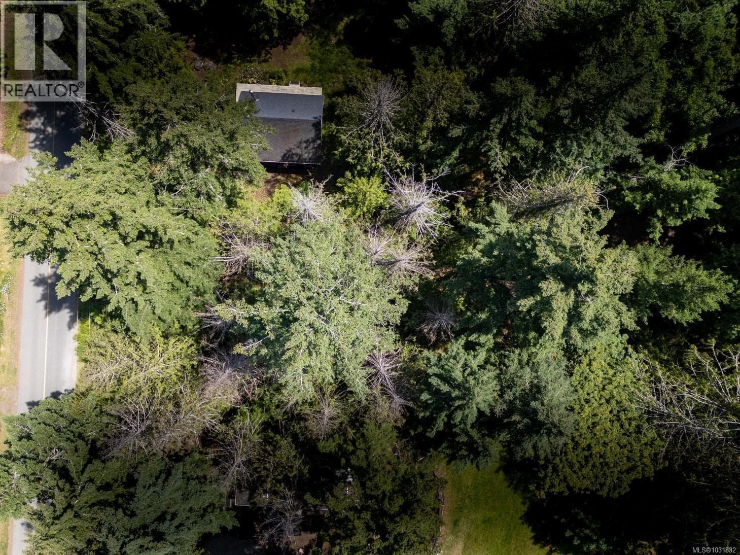 4849 Pirates Rd photo 4