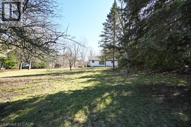1145 MAIN Street photo 4