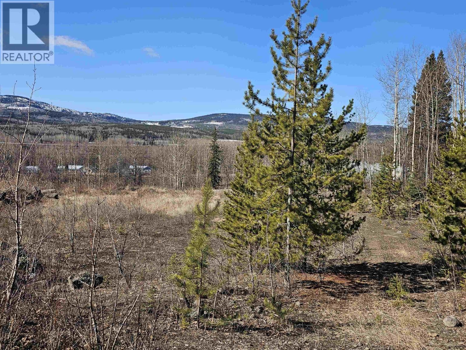970 NASH ROAD photo 4