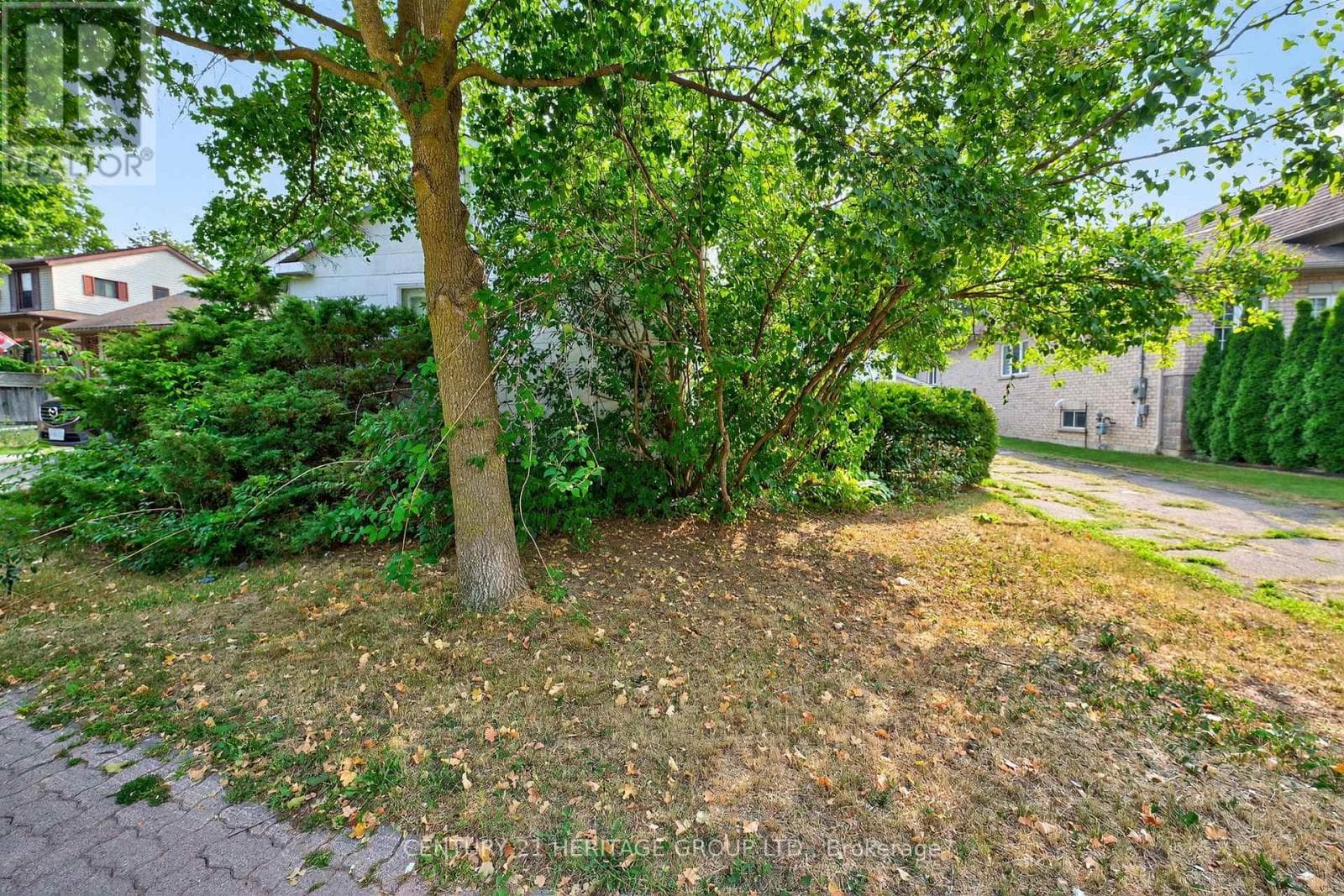 117 LUCAS STREET photo 3