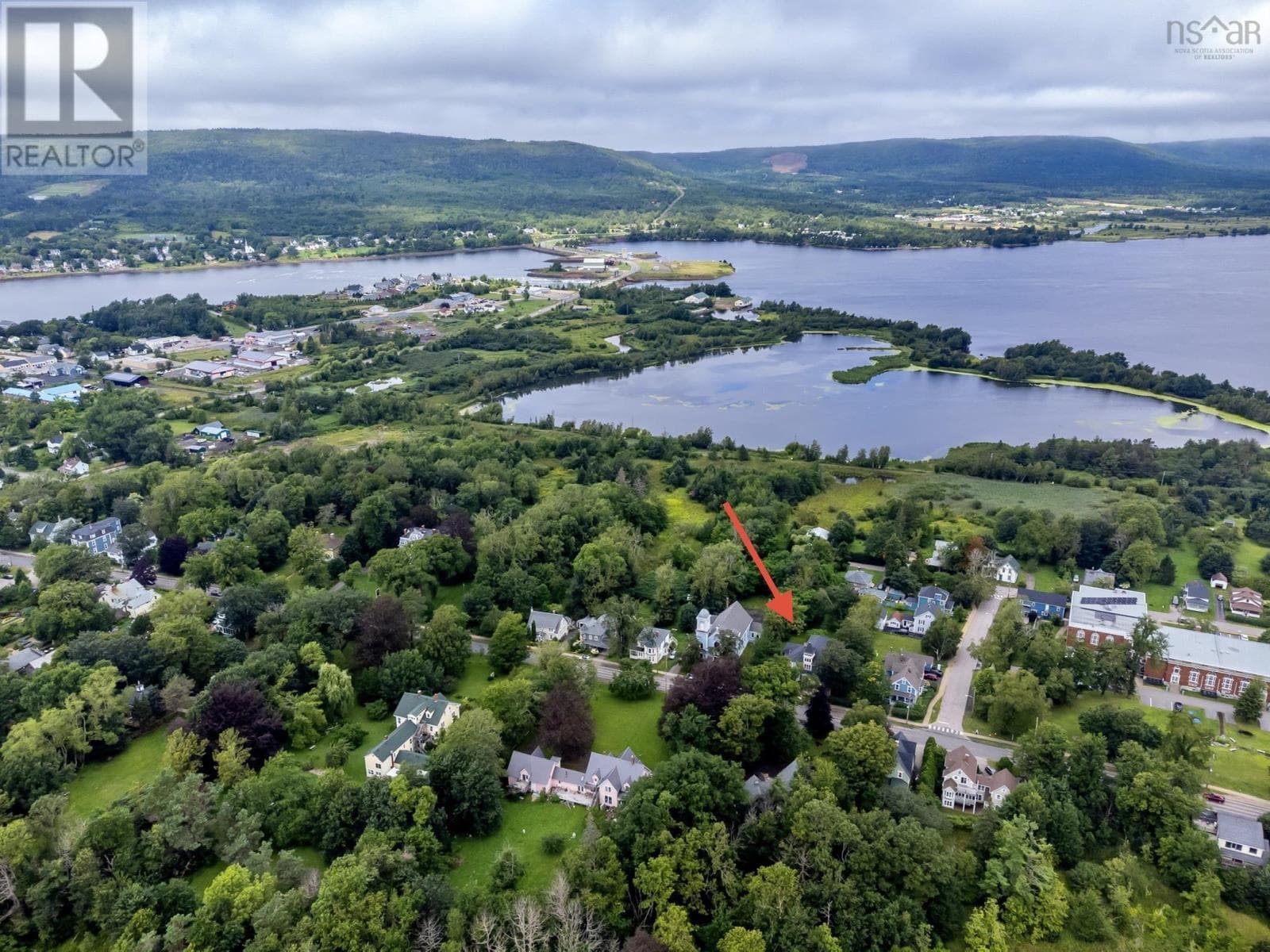 548 St George Street photo 4