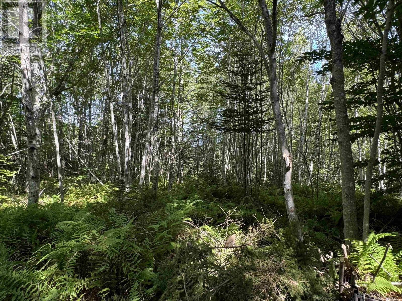 2553 Morse Road photo 2