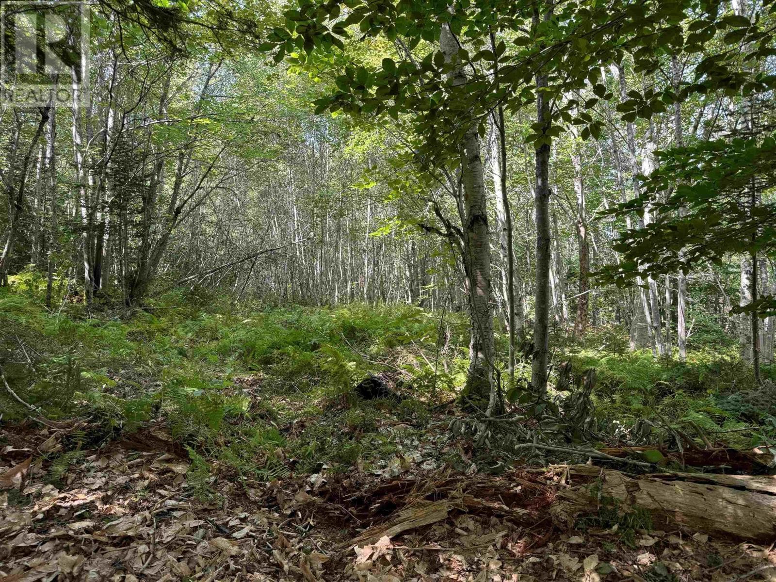 vacant land at 2553 Morse Road — $41,000