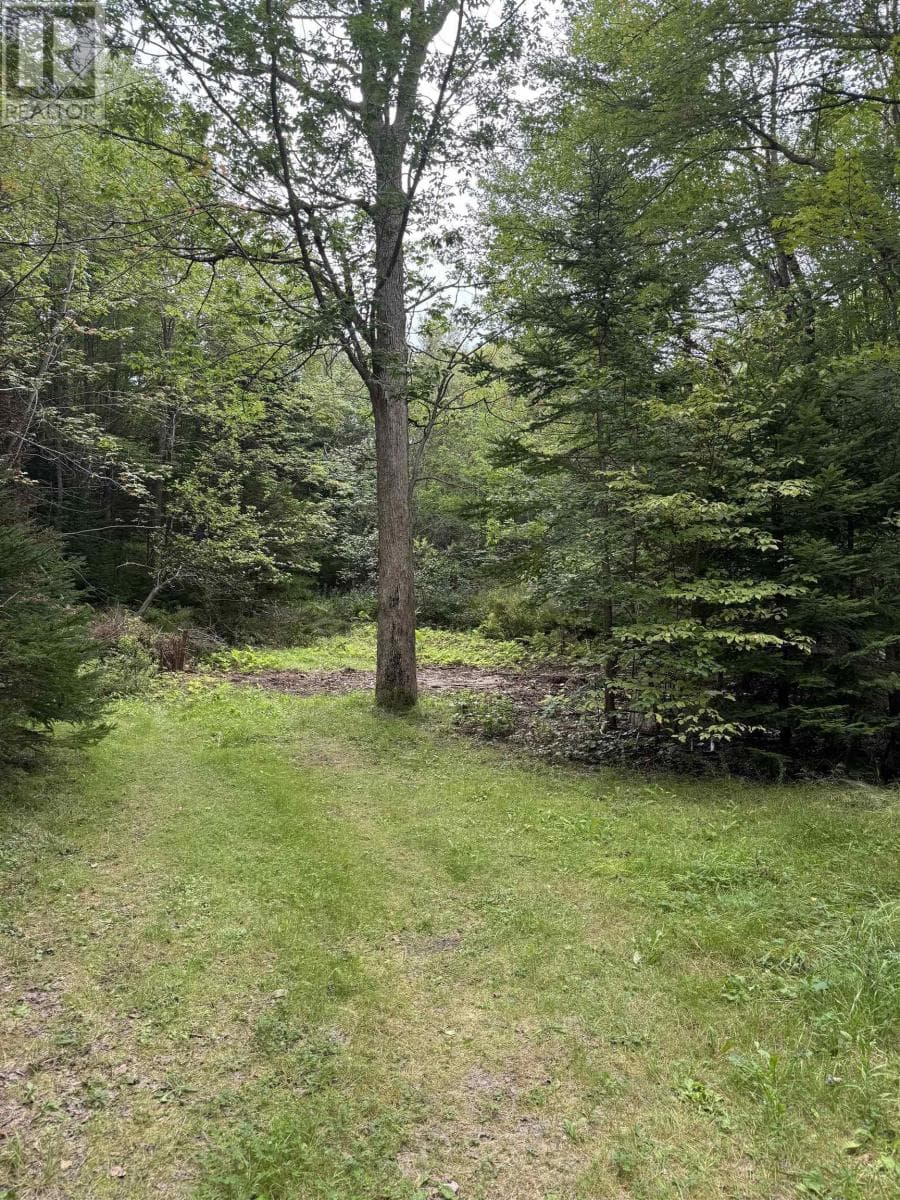 2553 Morse Road photo 4