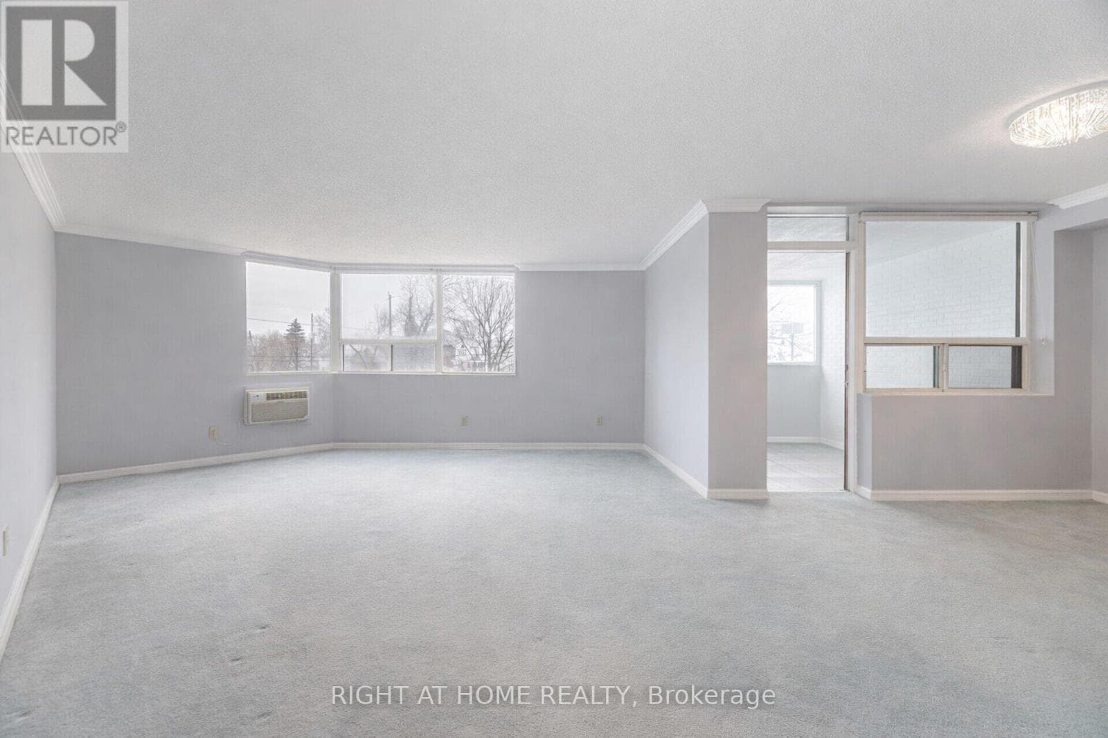 201 - 166 MOUNTAIN PARK AVENUE photo 4