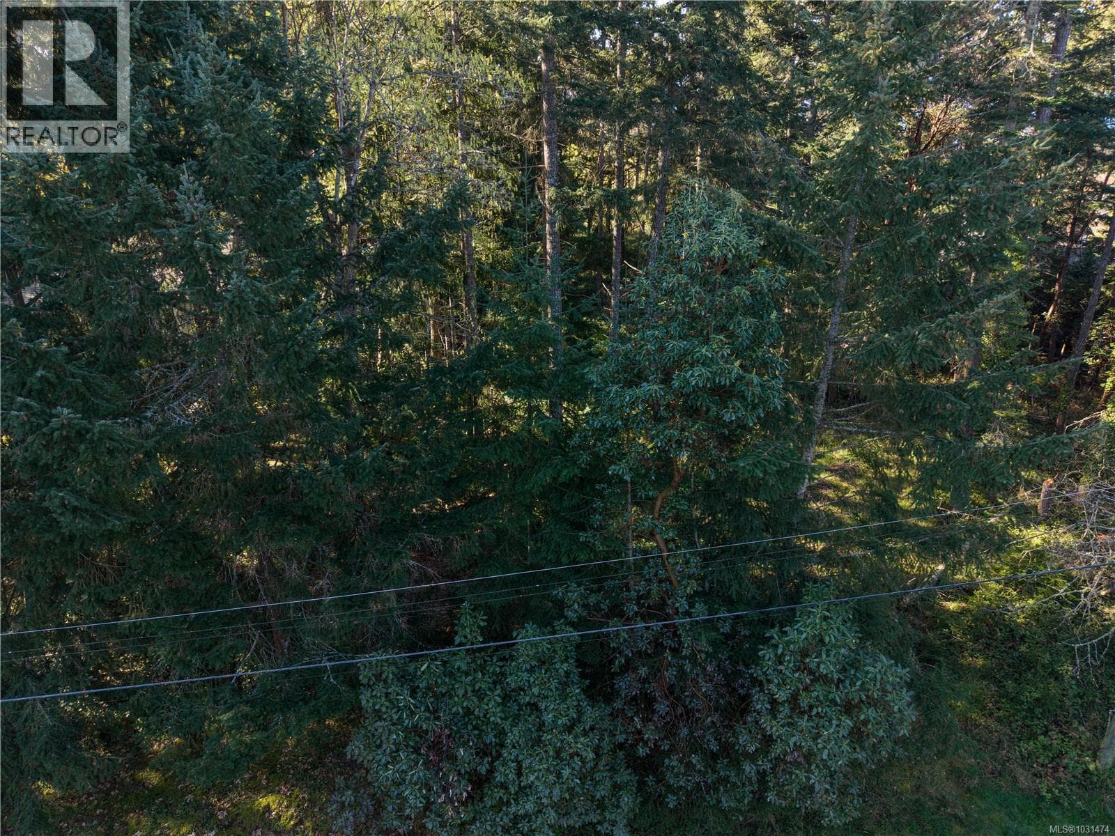 537 Cromar Rd photo 2