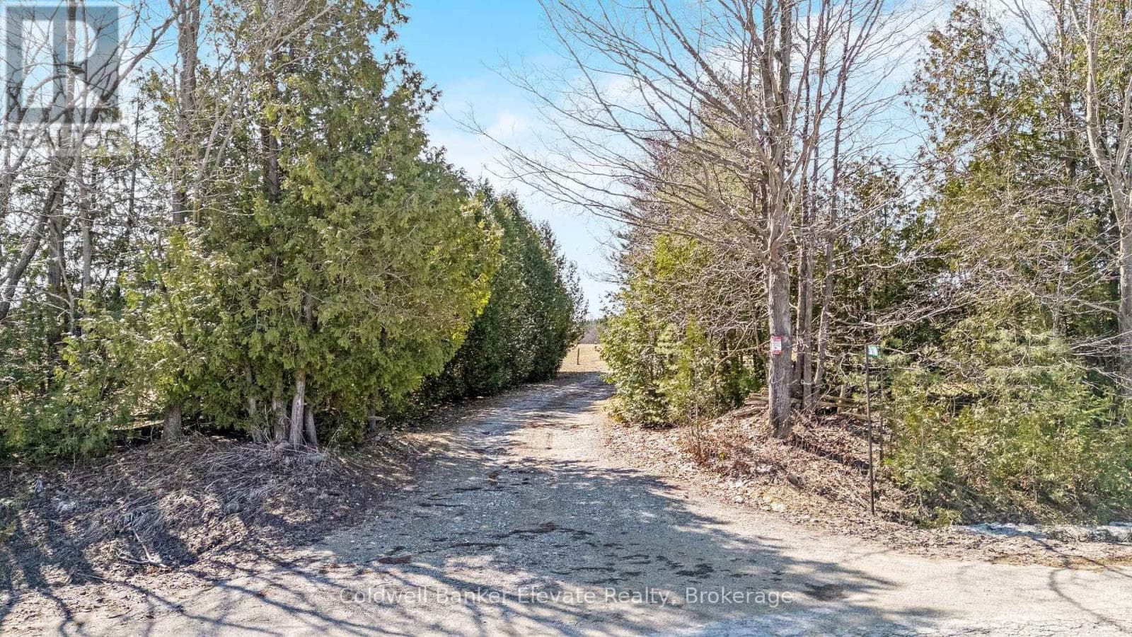 262700 VARNEY ROAD photo 2