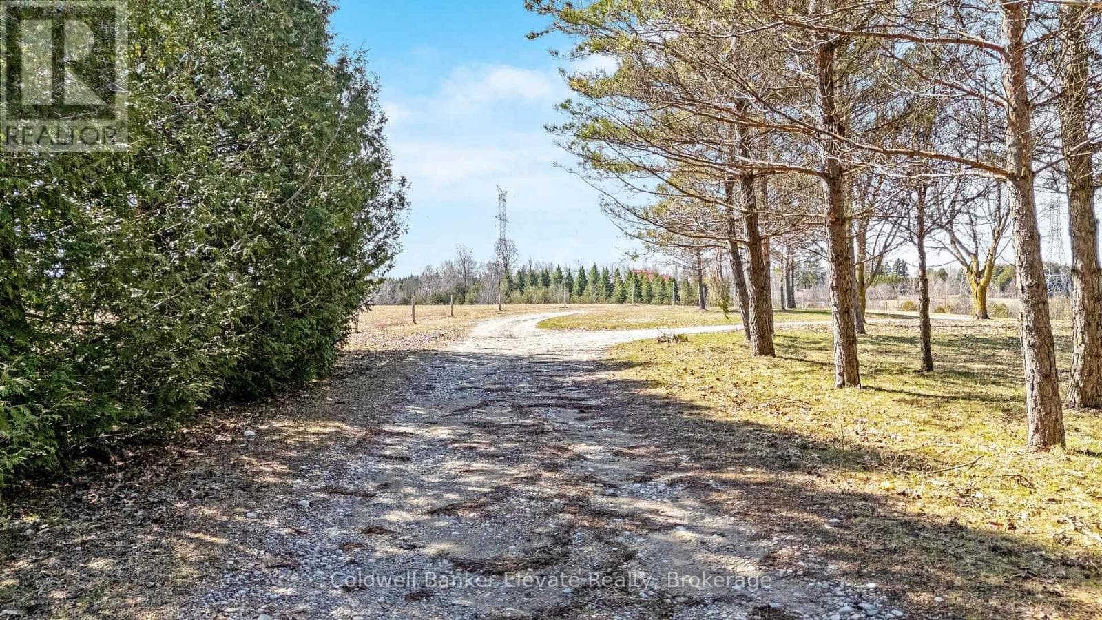 262700 VARNEY ROAD photo 4