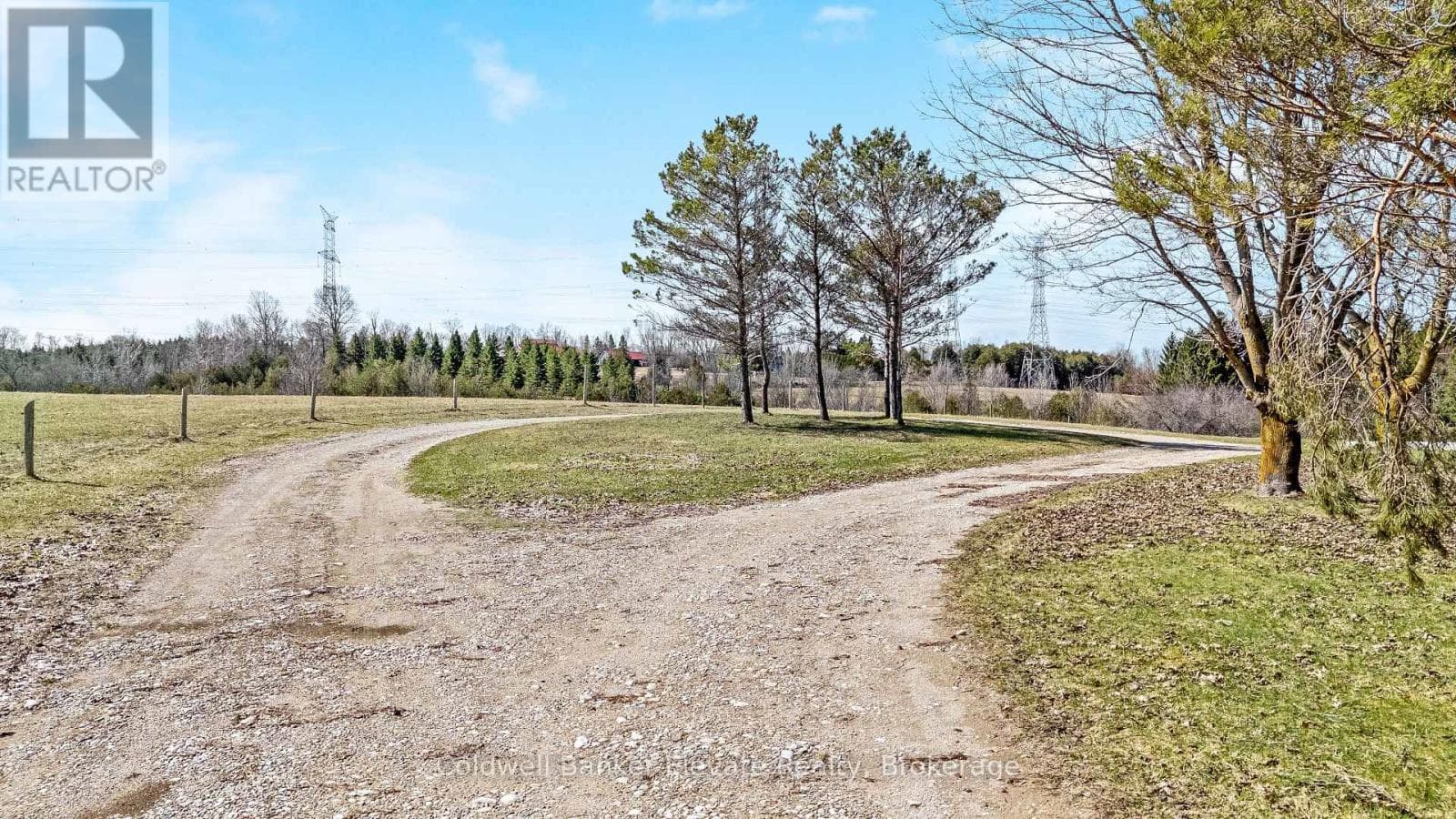 262700 VARNEY ROAD photo 5