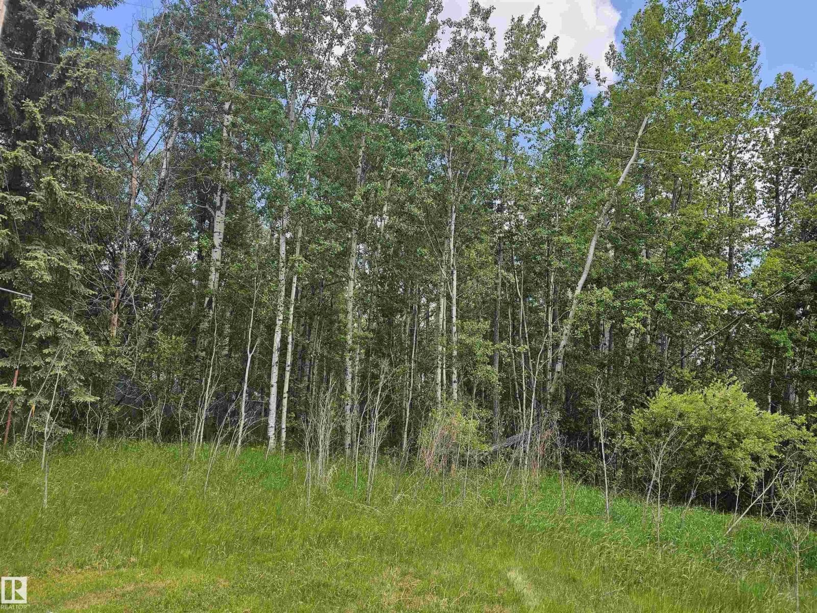 82 4418 HWY 633 photo 4